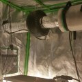 Do You Need a Carbon Filter for Your Grow Cabinet? - A Comprehensive Guide