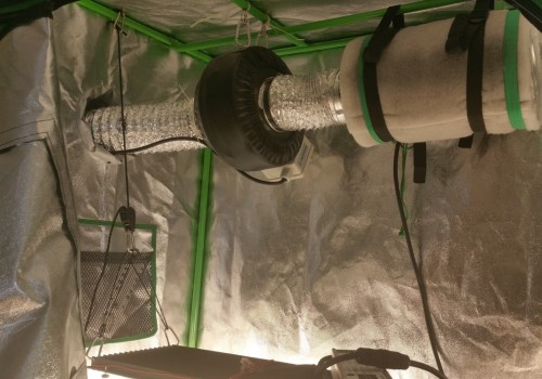 Do You Need a Carbon Filter for Your Grow Cabinet? - A Comprehensive Guide