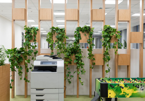Best Air Purifying Plants for Offices and Workspaces
